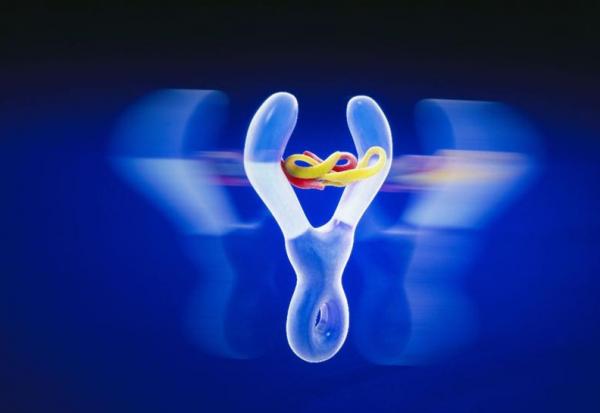 Sanofi : à suivre demain