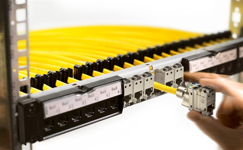 Schneider Electric et Legrand bondissent !