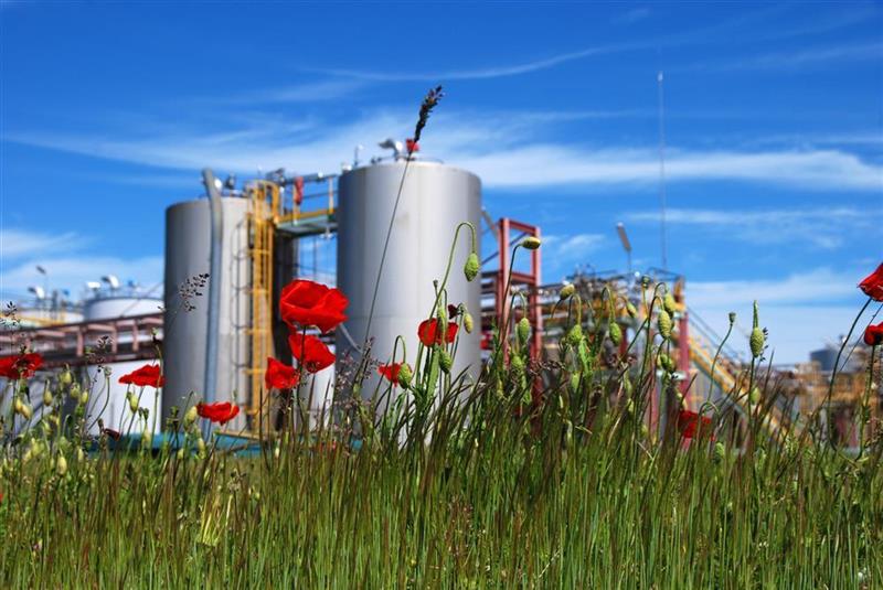 Séché Environnement : résultats bien accueillis