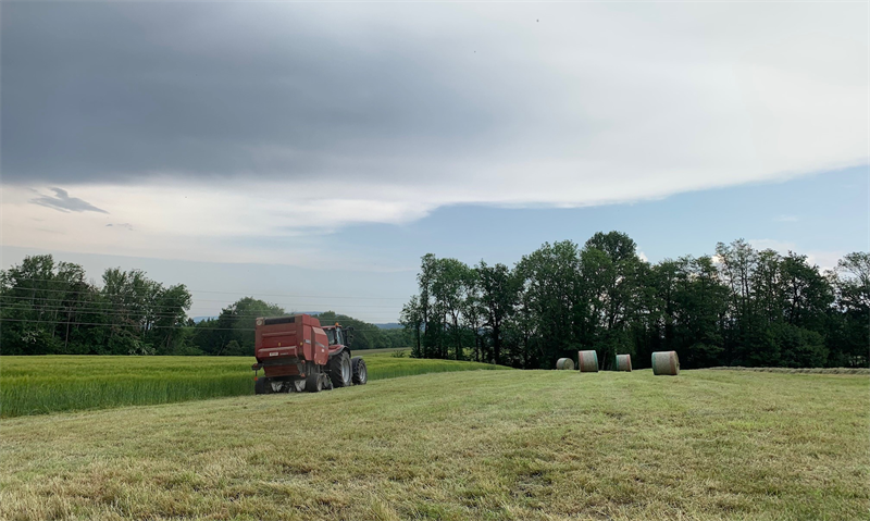 SWEN Capital Partners annonce le lancement de sa nouvelle stratégie à impact européenne via le fonds «SWEN Terra» dédié à l'agriculture régénératrice