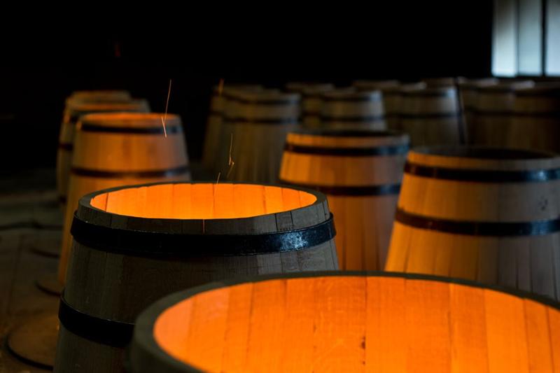 TFF Group : en baisse après les annonces