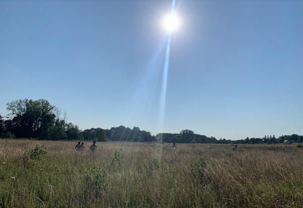 TotalEnergies : inaugure son plus grand champ solaire en Europe