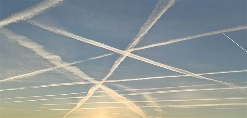 Transport : French Bee élue meilleure compagnie aérienne loisirs en France par Skytrax