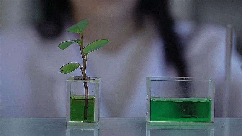 Valbiotis : de retour à 1 euro