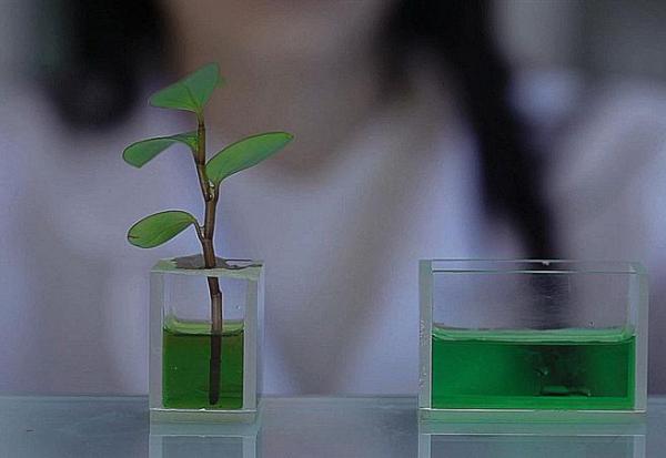 Valbiotis : un horizon de trésorerie à fin 2026