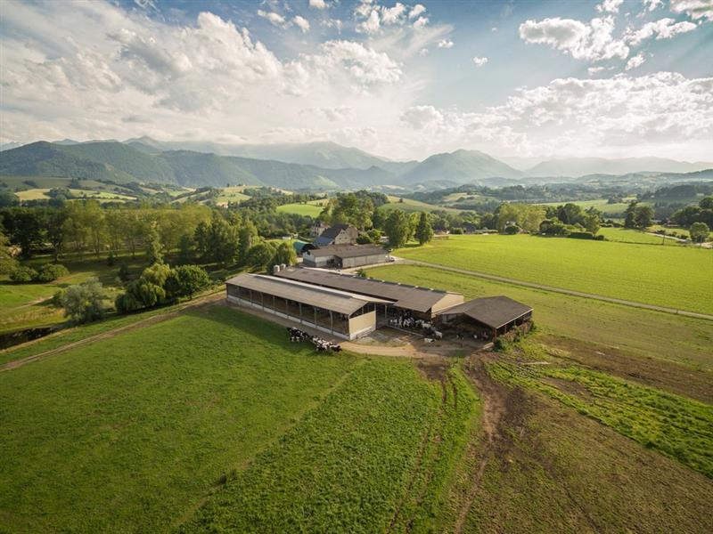 Virbac : publication bien accueillie