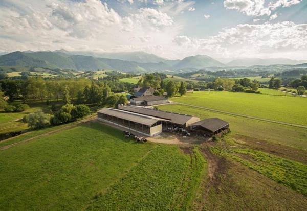 Virbac : publication bien accueillie