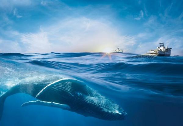 Viridien : en mode pause