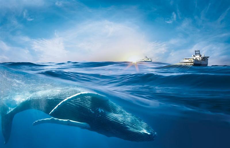 Viridien : en nette hausse