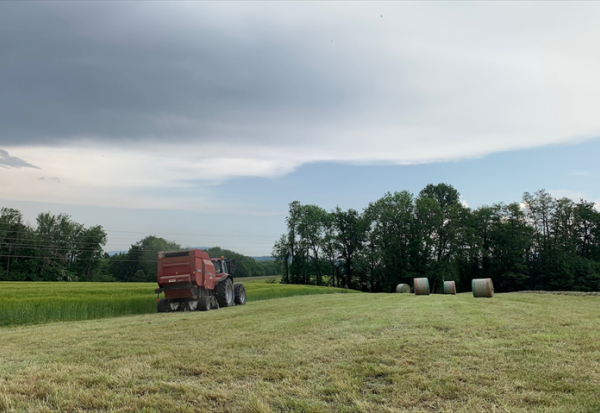 Winfarm anticipe une croissance de l'activité et une progression de l'EBITDA en 2026