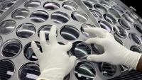 S&P Global relève sa note de crédit sur EssilorLuxottica