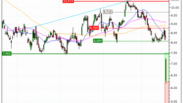 Stellantis N.V. : En état de survente (CA32V)